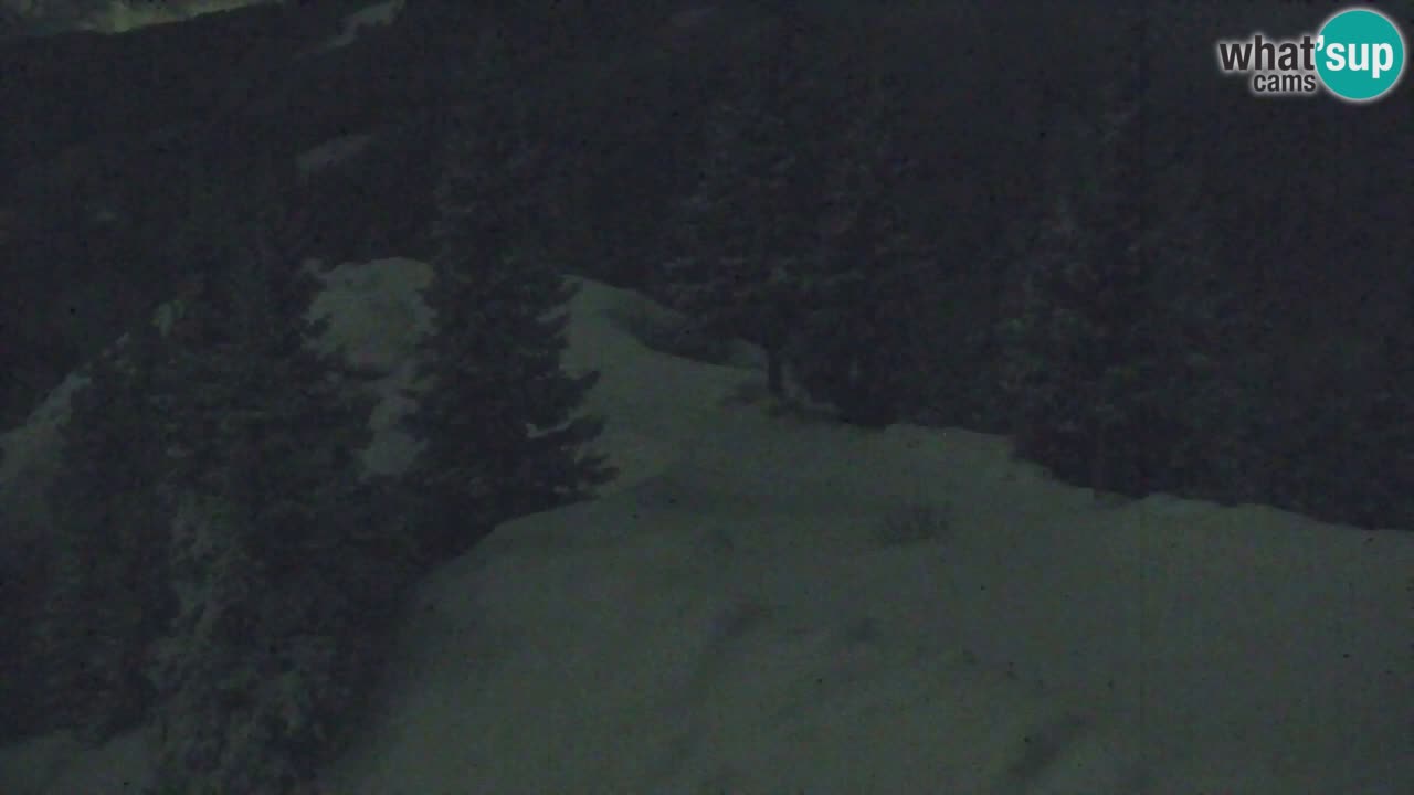 Webcam Koča na Golici (1582 m) – Slovenia