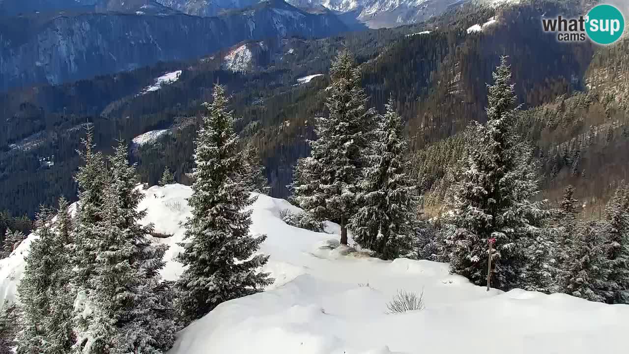 Webcam na Golici – Baita di montagna (1582 m) – Slovenia