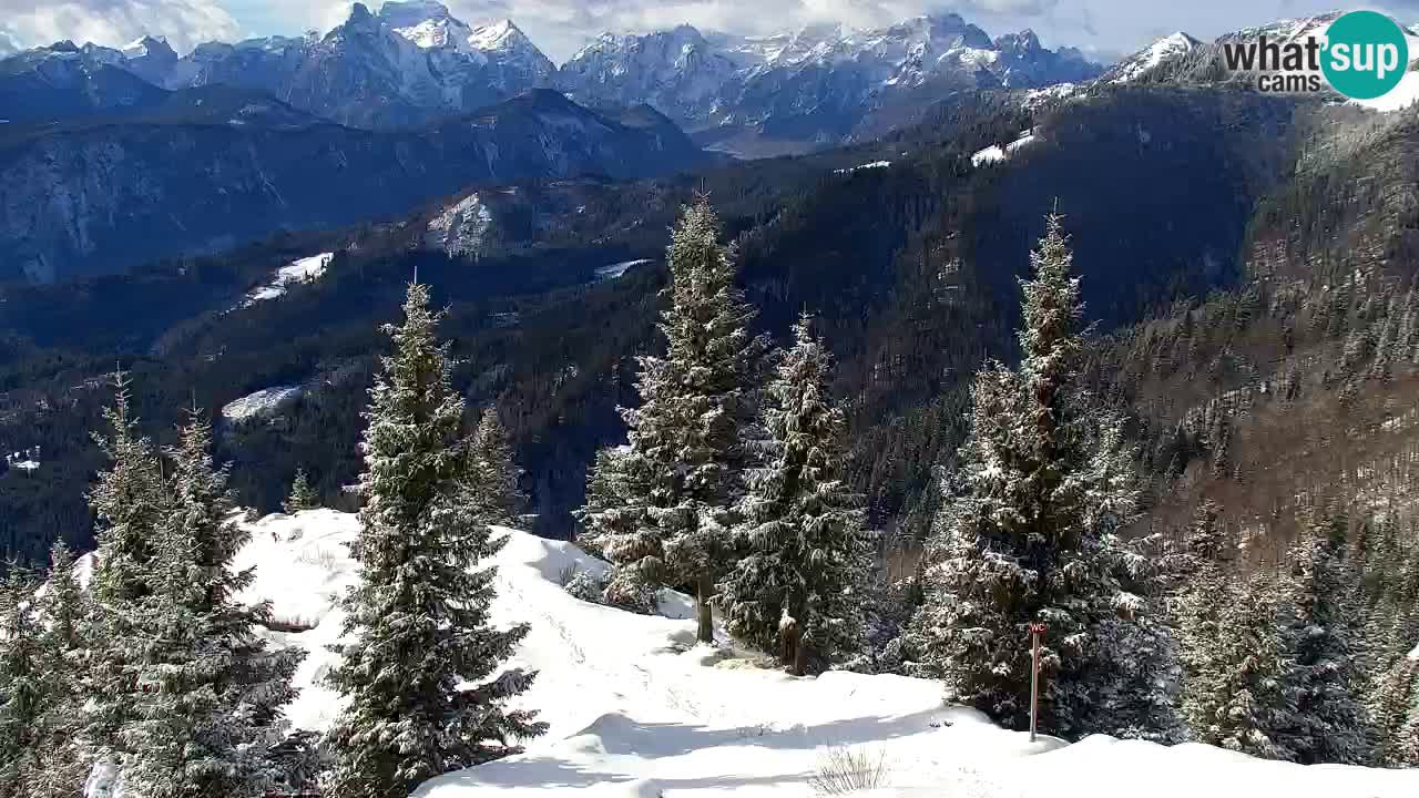 Webcam Koča na Golici (1582 m) – Slovenia