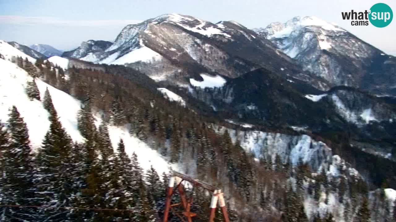 Koča na Golici Webcam (1582 m) – Slowenien