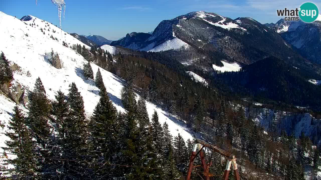 Webcam Koča na Golici (1582 m) – Slovenia