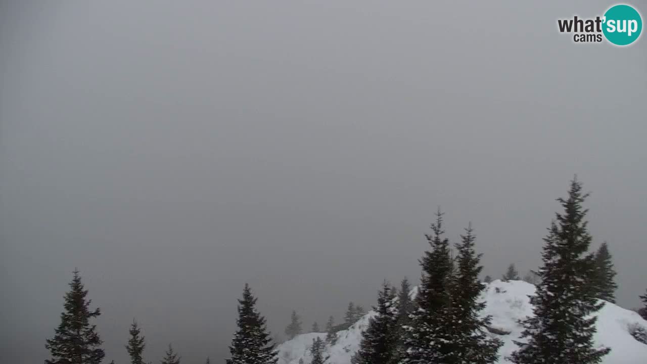 Spletna kamera Koča na Golici (1582 m) – Jesenice