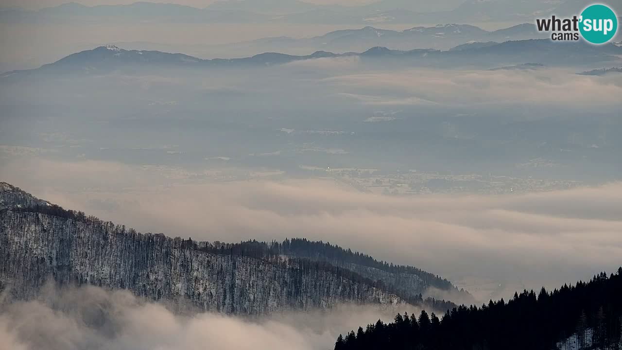 Koča na Golici Webcam (1582 m) – Slowenien