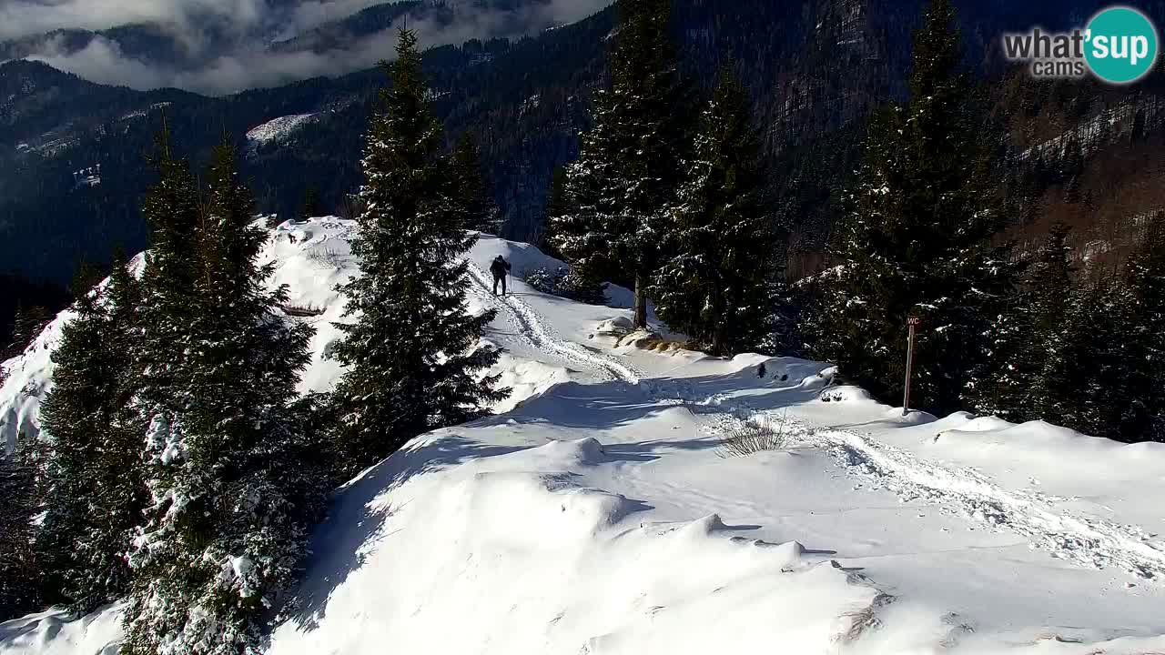 Webcam na Golici – Baita di montagna (1582 m) – Slovenia