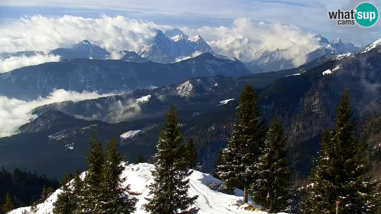 Koča na Golici Webcam (1582 m) – Slowenien