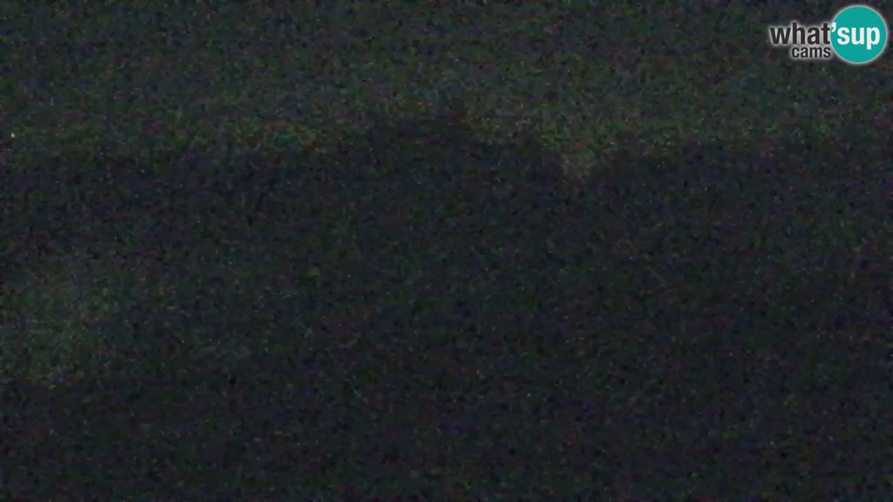 Webcam Koča na Golici (1582 m) – Slovenia