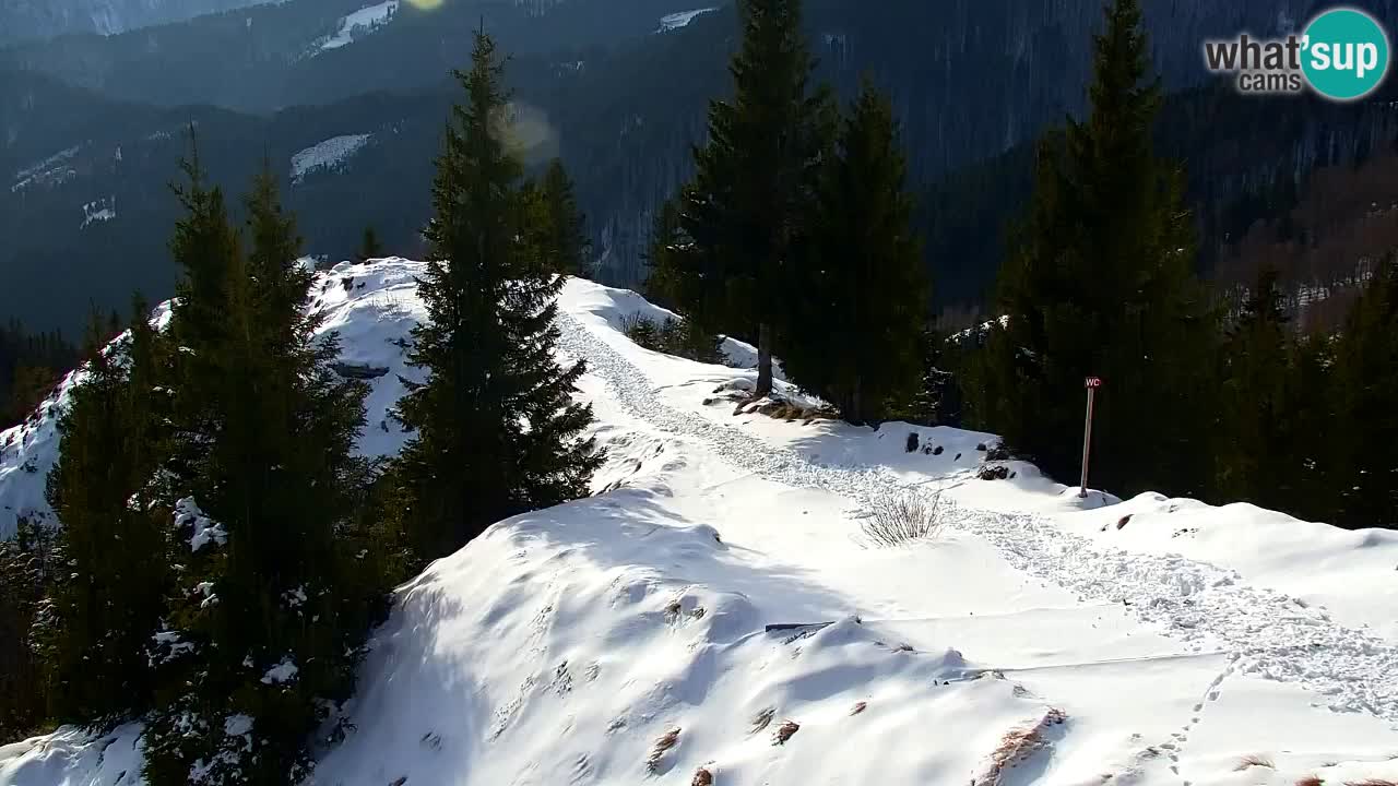 Webcam na Golici – Baita di montagna (1582 m) – Slovenia