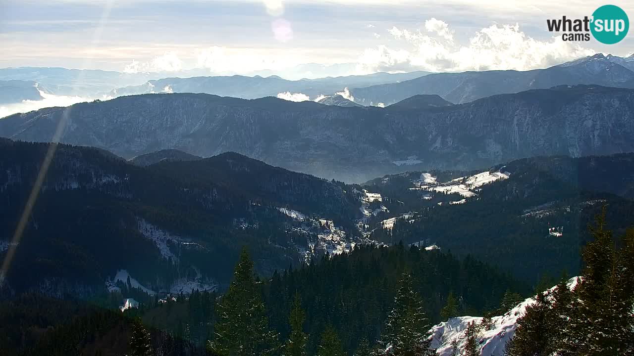 Web kamera Koča na Golici (1582 m) – Slovenija