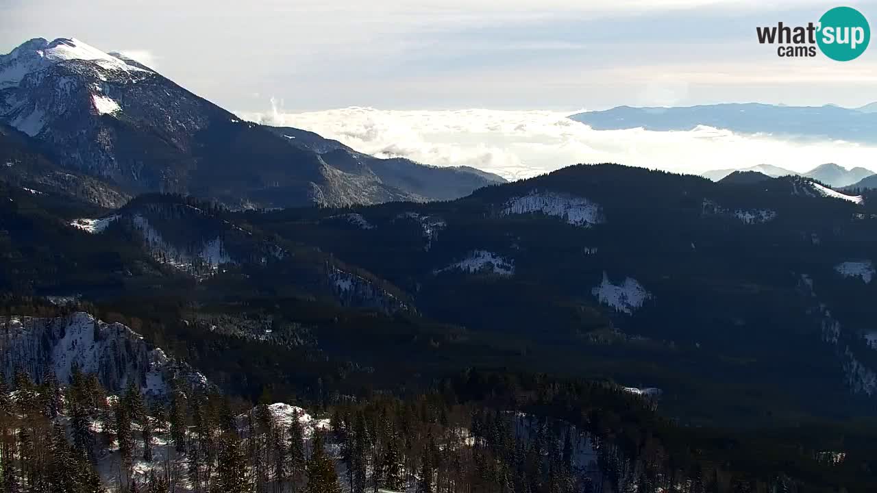 Koča na Golici Webcam (1582 m) – Slowenien