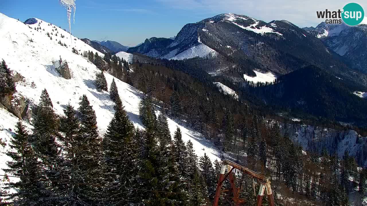 Koča na Golici Webcam (1582 m) – Slowenien