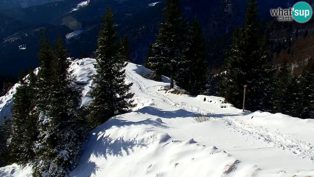 Koča na Golici Webcam (1582 m) – Slowenien