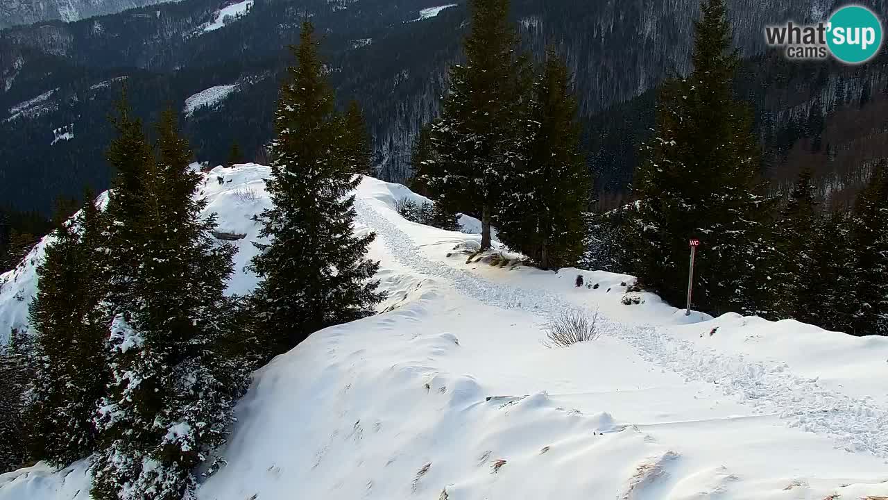 Webcam na Golici – Baita di montagna (1582 m) – Slovenia