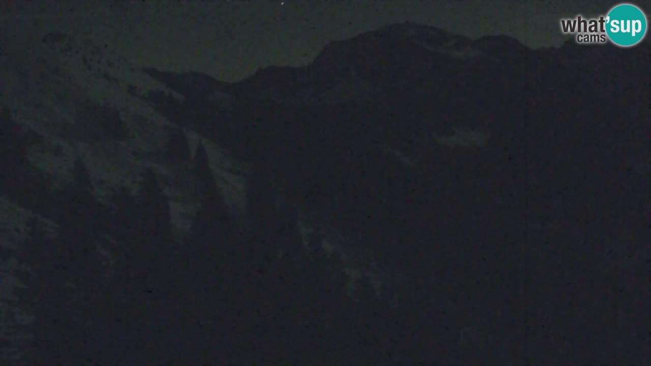 Webcam Koča na Golici (1582 m) – Slovenia