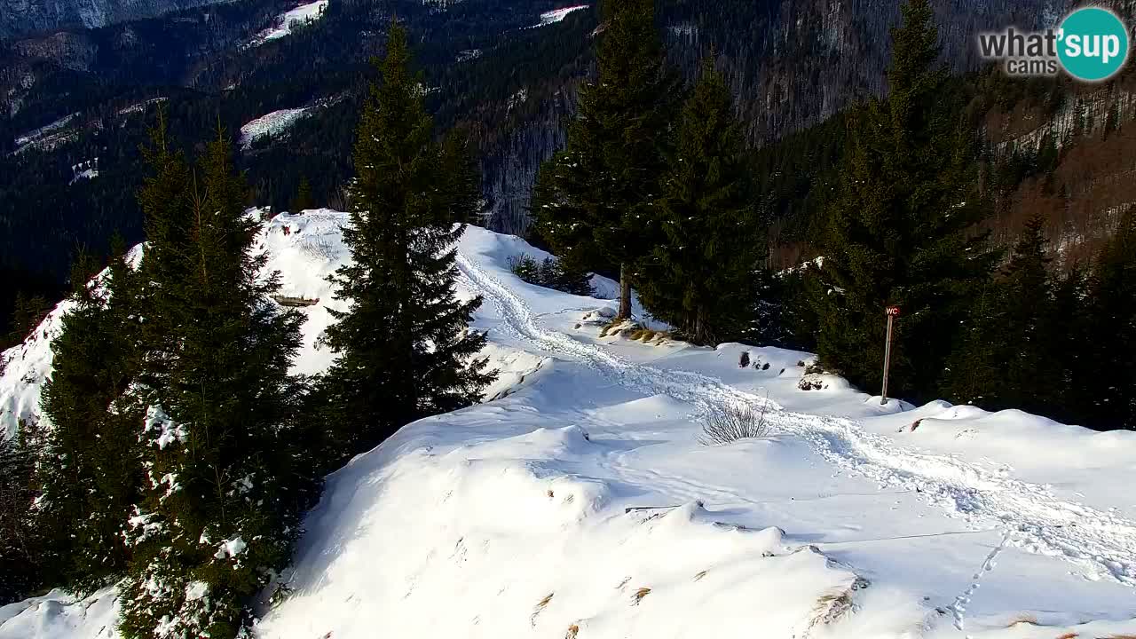 Webcam na Golici – Baita di montagna (1582 m) – Slovenia