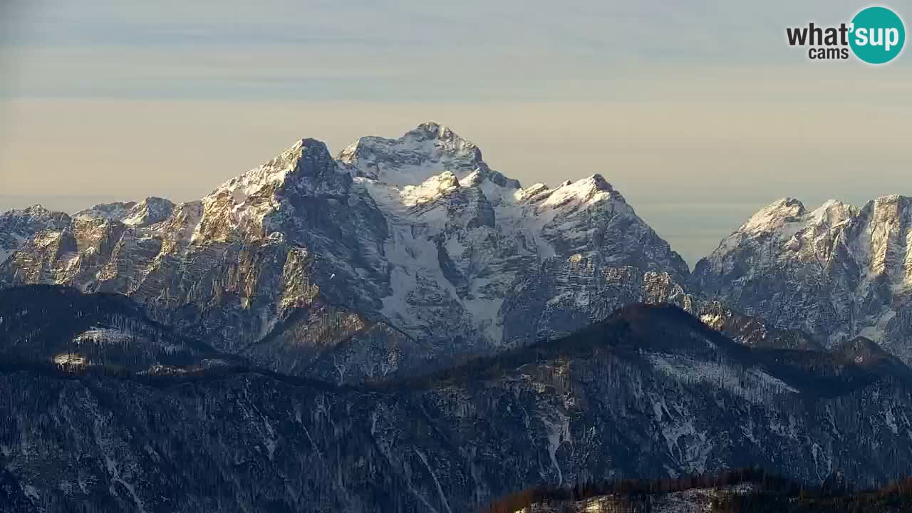 Webcam Koča na Golici (1582 m) – Slovenia