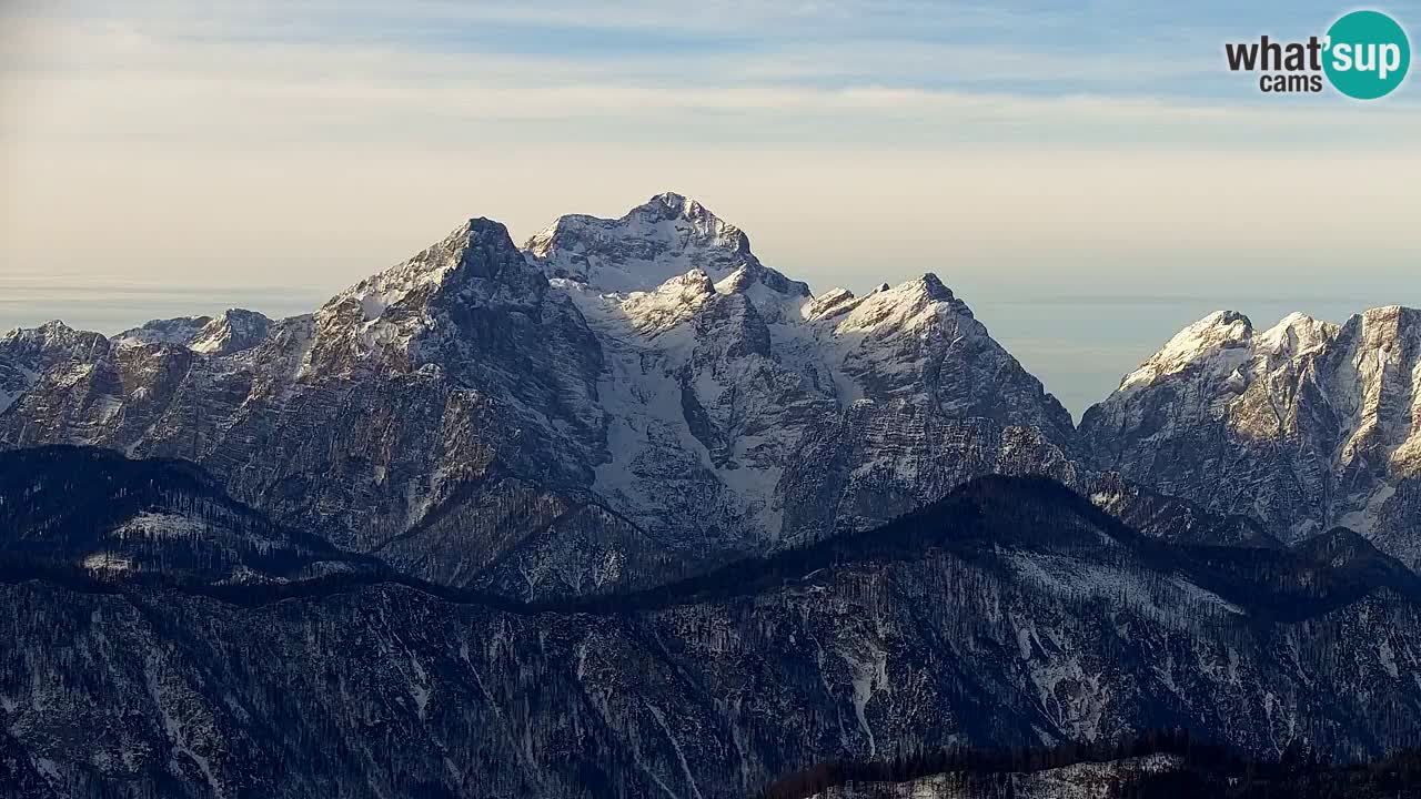 Koča na Golici Webcam (1582 m) – Slowenien