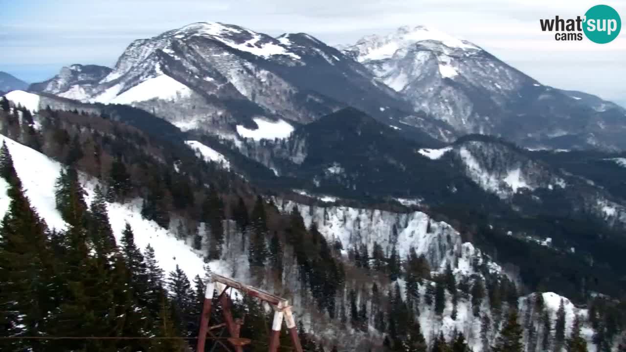 Webcam Koča na Golici (1582 m) – Slovenia