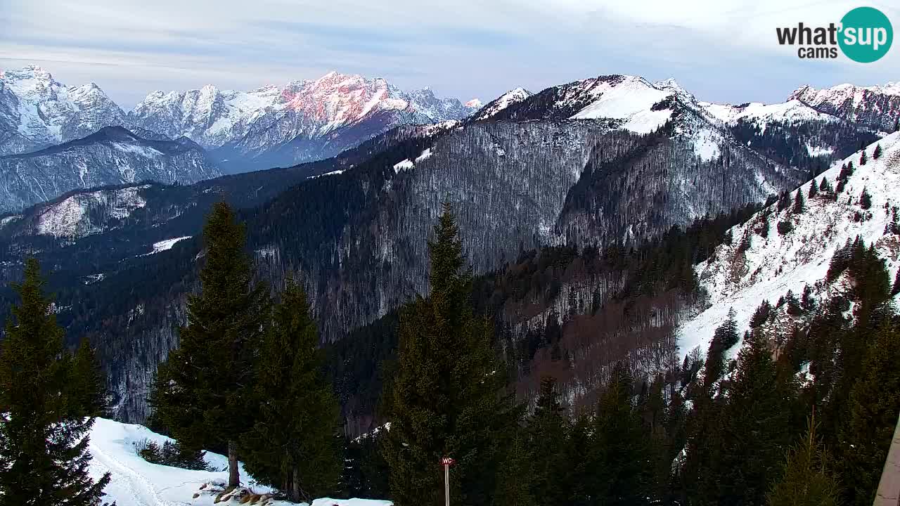 Web kamera Koča na Golici (1582 m) – Slovenija