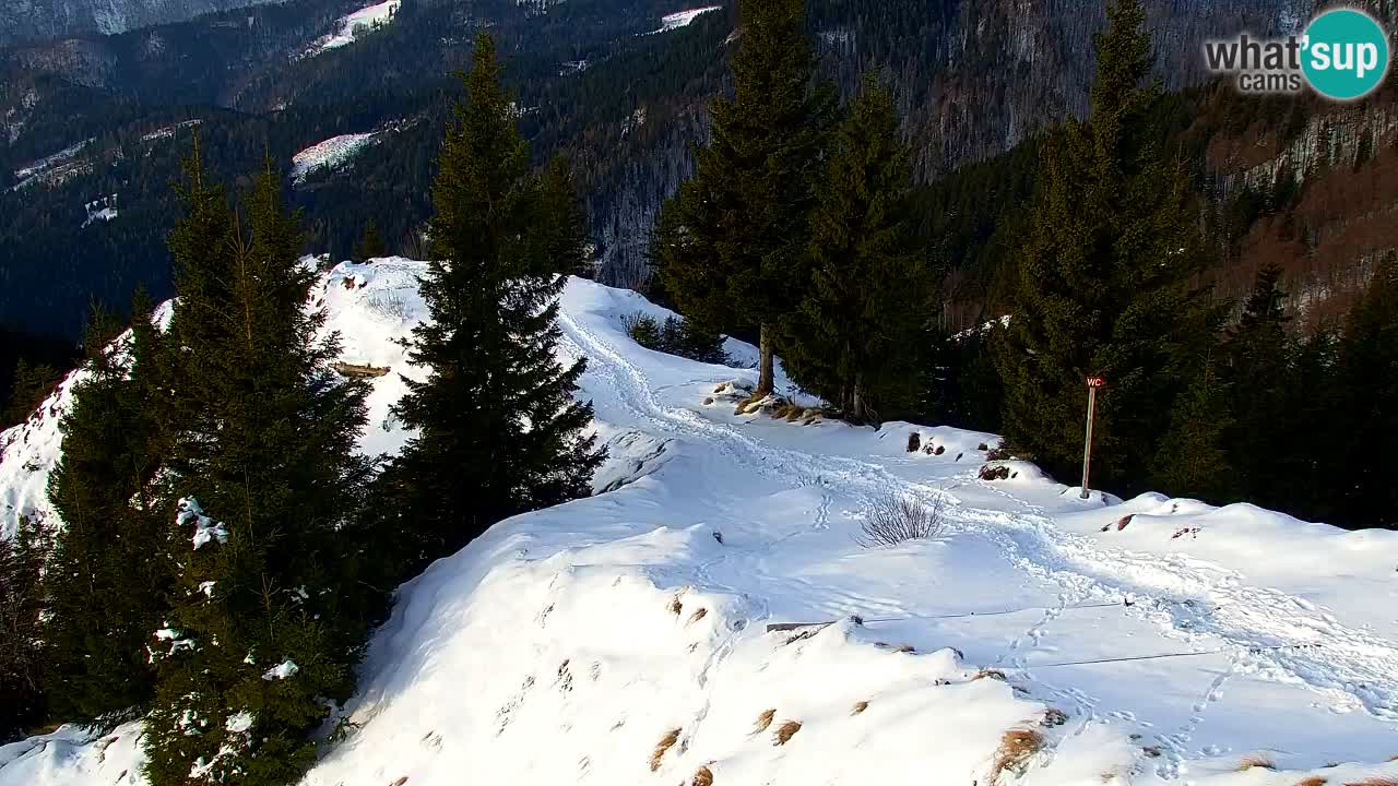 Webcam na Golici – Baita di montagna (1582 m) – Slovenia