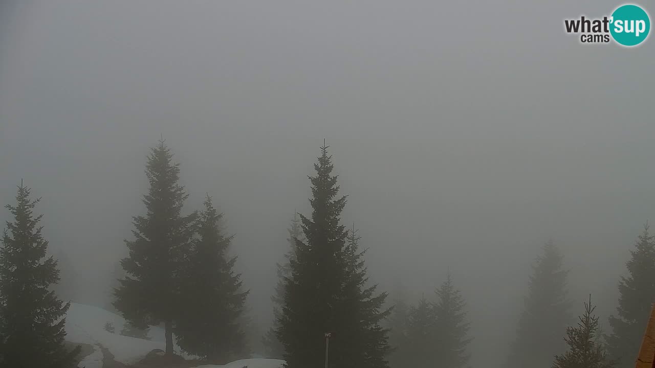 Webcam na Golici – Baita di montagna (1582 m) – Slovenia
