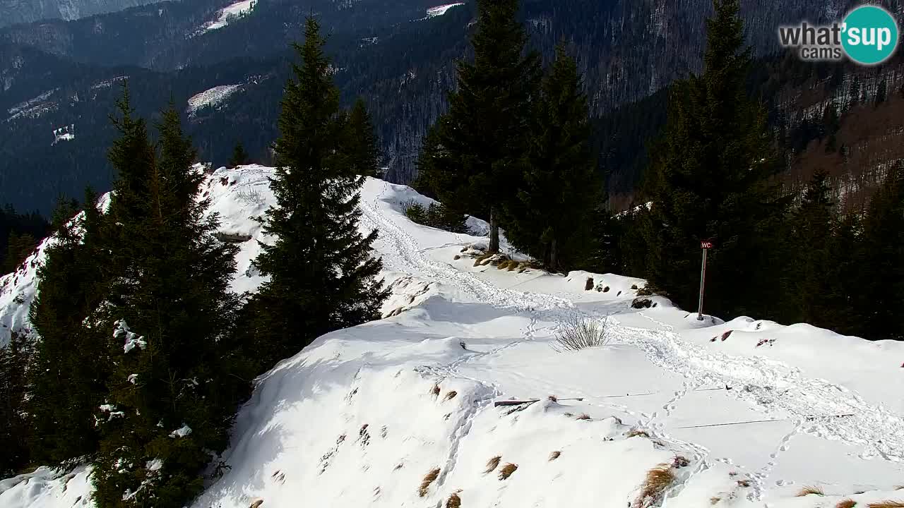 Webcam na Golici – Baita di montagna (1582 m) – Slovenia