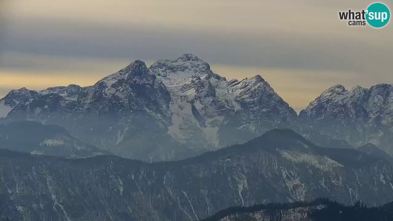 Koča na Golici Webcam (1582 m) – Slowenien