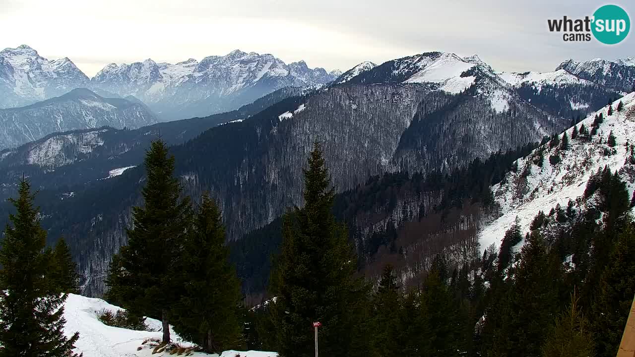 Webcam Koča na Golici (1582 m) – Slovenia
