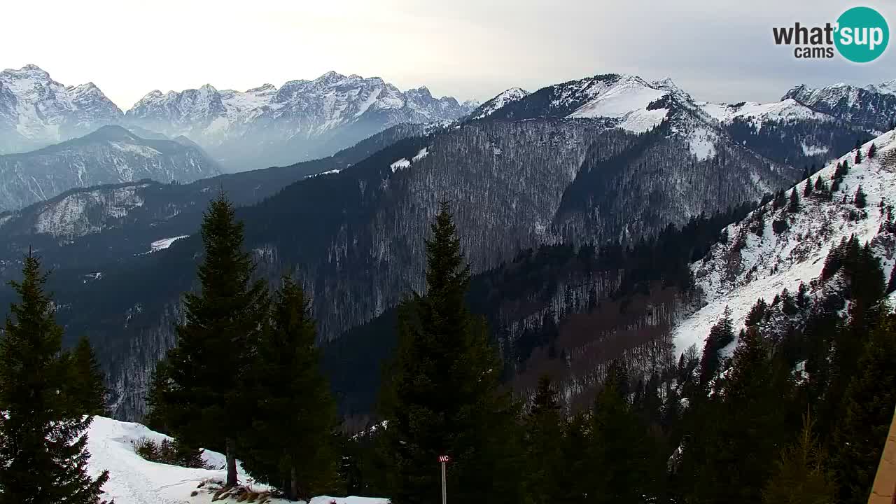 Web kamera Koča na Golici (1582 m) – Slovenija