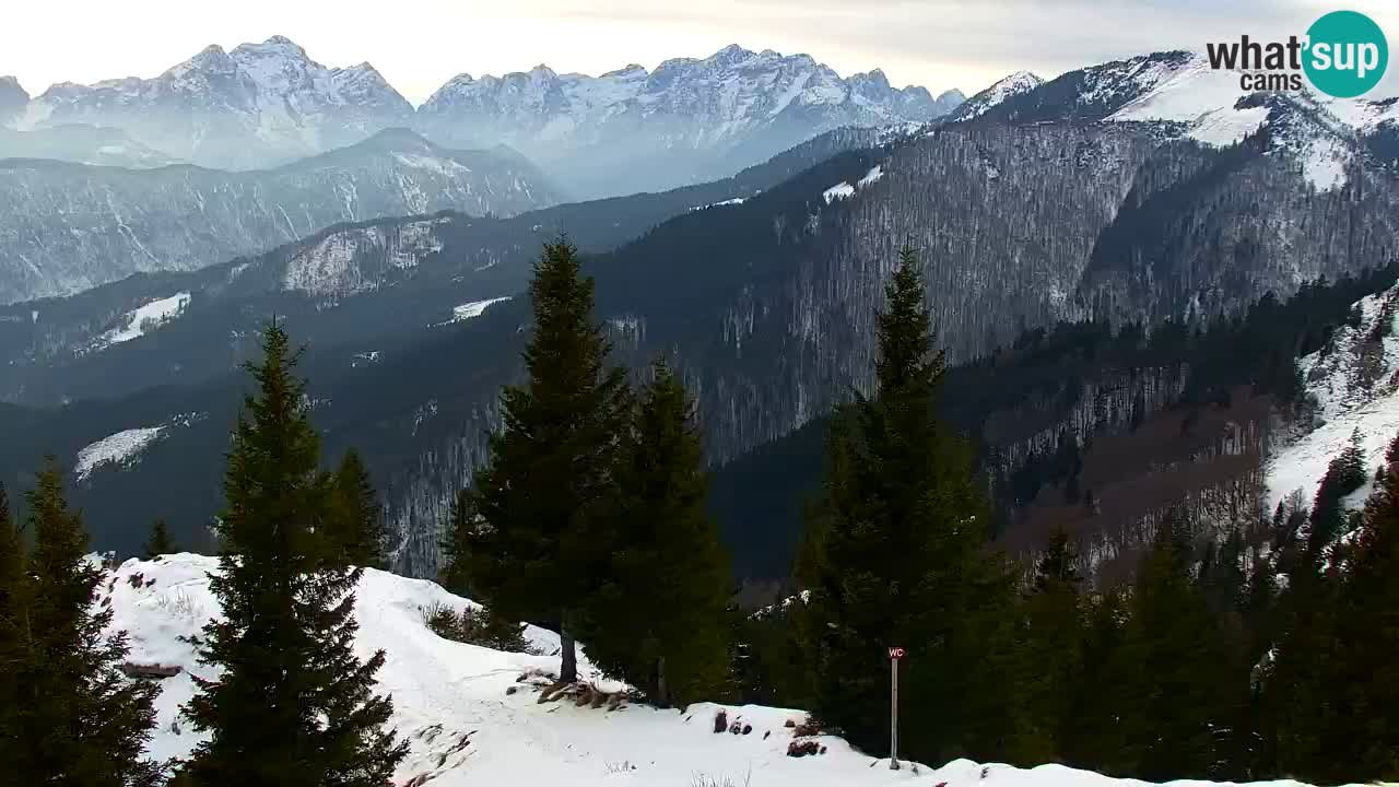 Webcam Koča na Golici (1582 m) – Slovenia