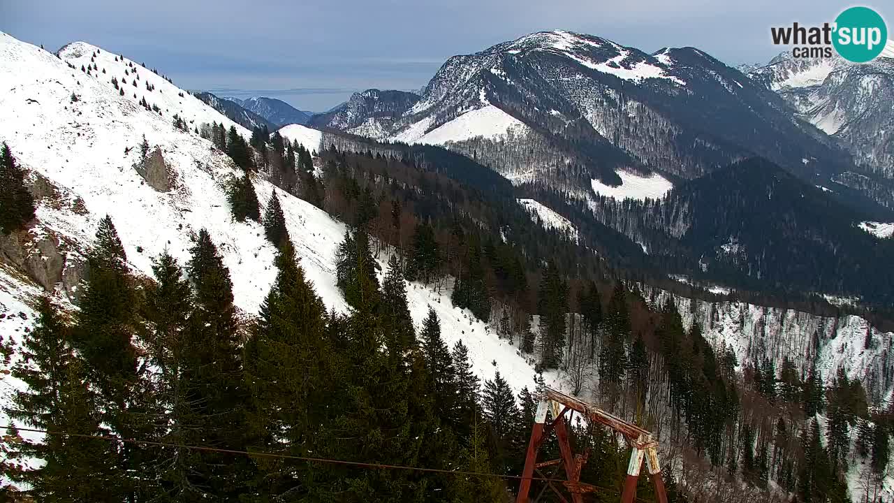 Webcam Koča na Golici (1582 m) – Slovenia