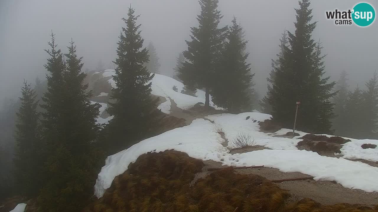 Spletna kamera Koča na Golici (1582 m) – Jesenice