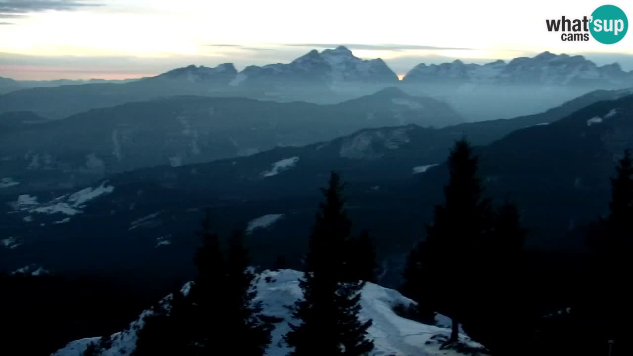 Webcam Koča na Golici (1582 m) – Slovenia