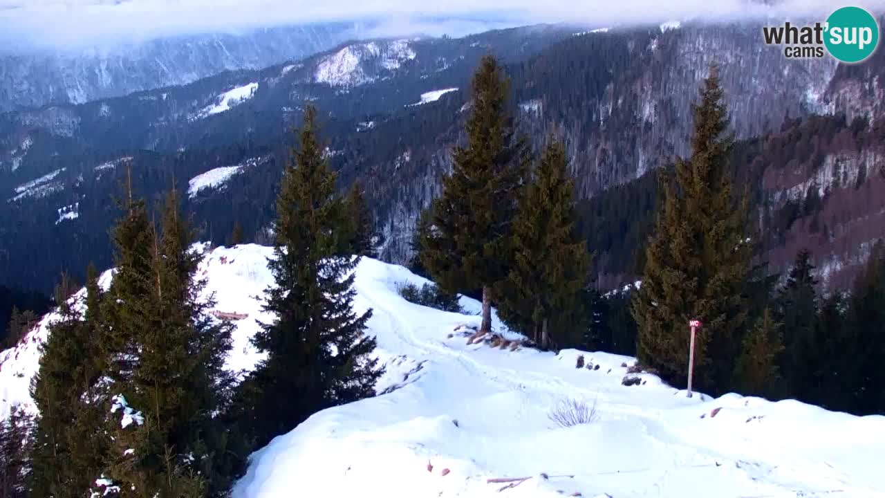 Webcam en Golica (1582 m) – Eslovenia