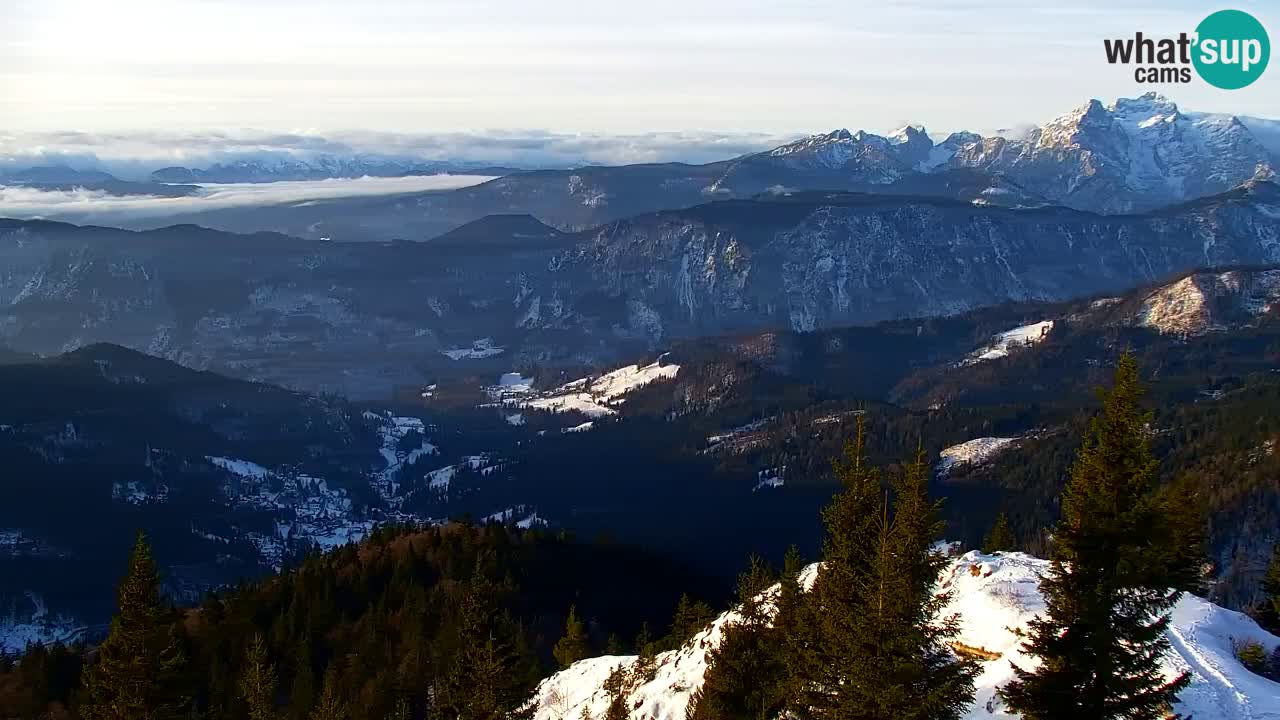 Web kamera Koča na Golici (1582 m) – Slovenija