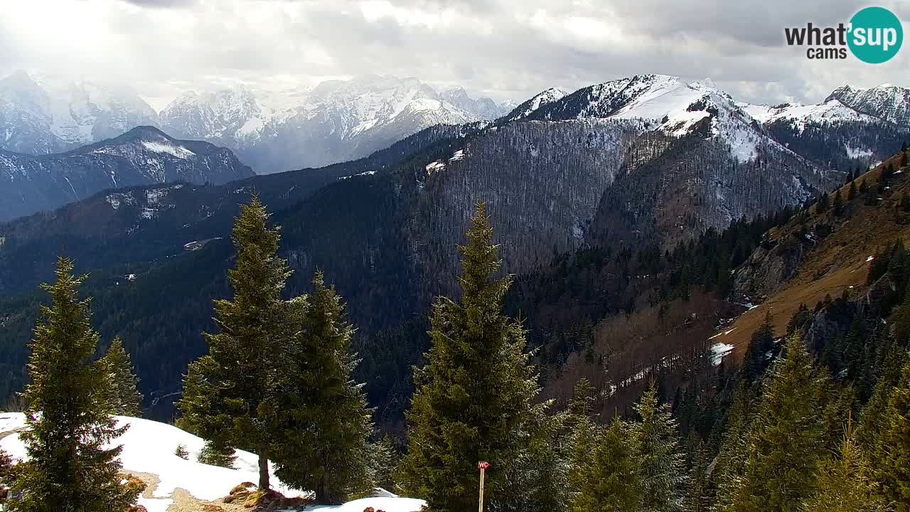 Webcam Koča na Golici (1582 m) – Slovenia
