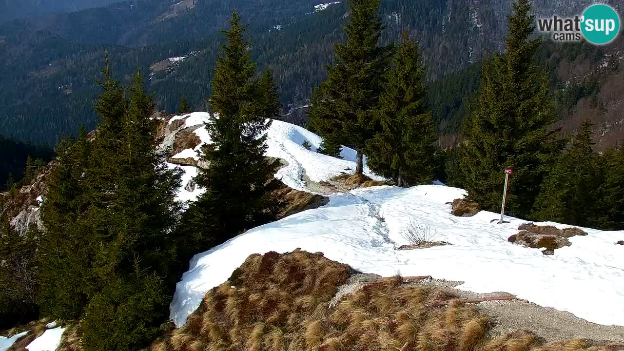 Webcam Koča na Golici (1582 m) – Slovenia