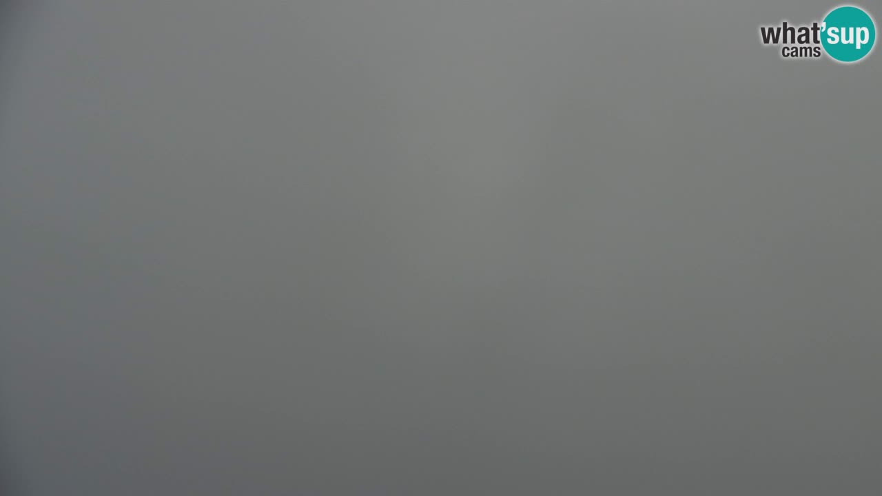 Webcam Koča na Golici (1582 m) – Slovenia