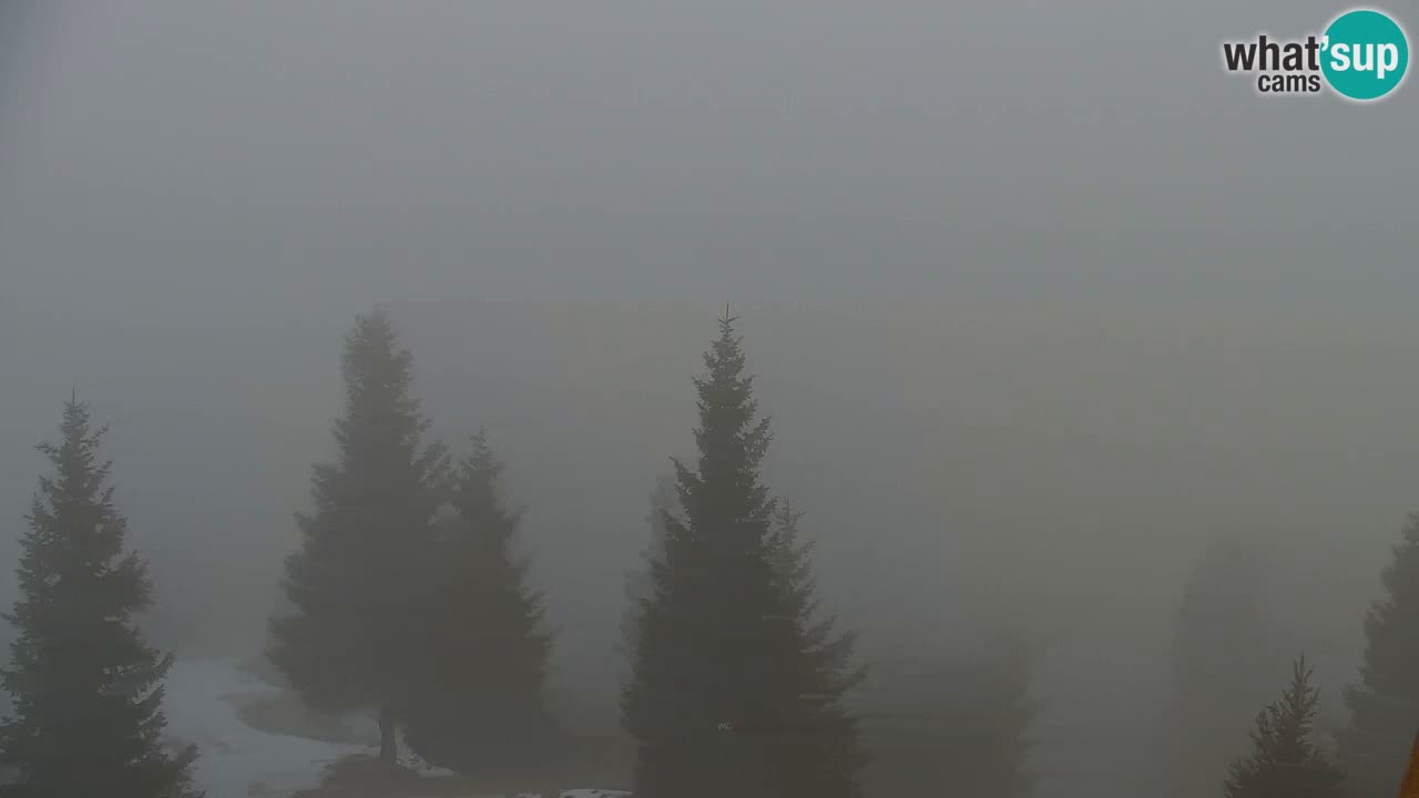 Webcam Chalet sur Golica (1582 m) – Slovénie