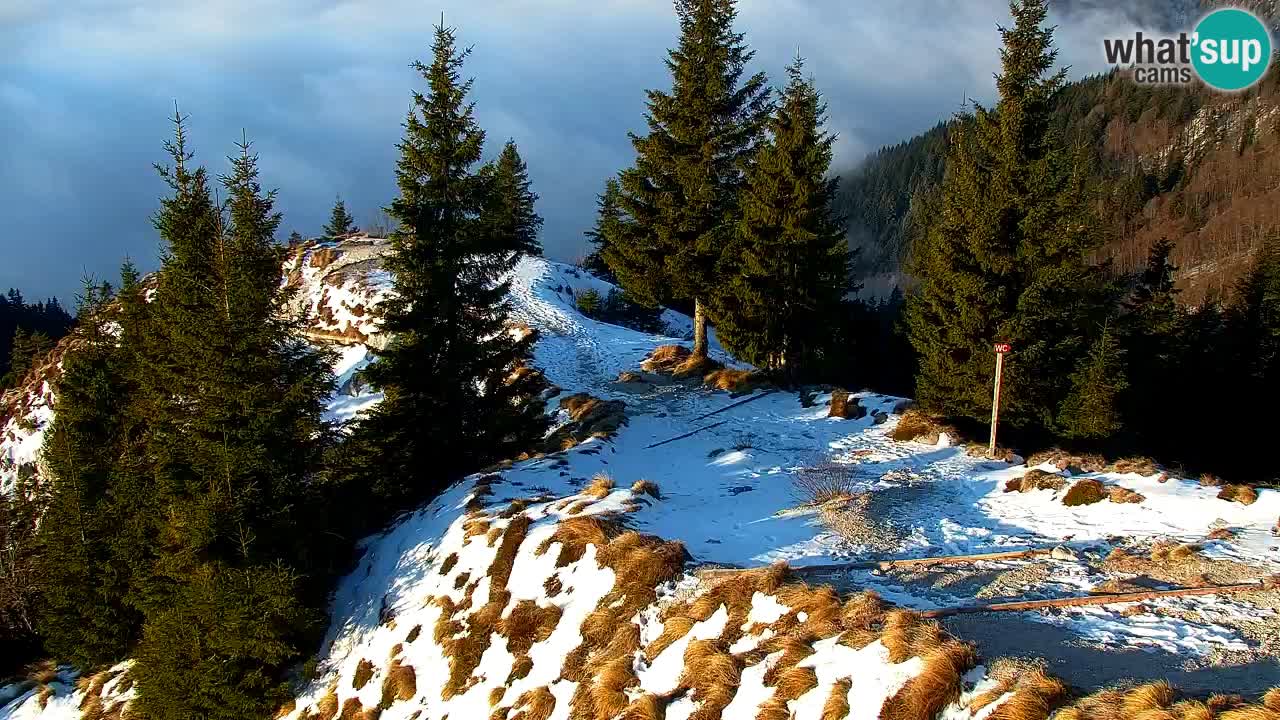 Webcam na Golici – Baita di montagna (1582 m) – Slovenia