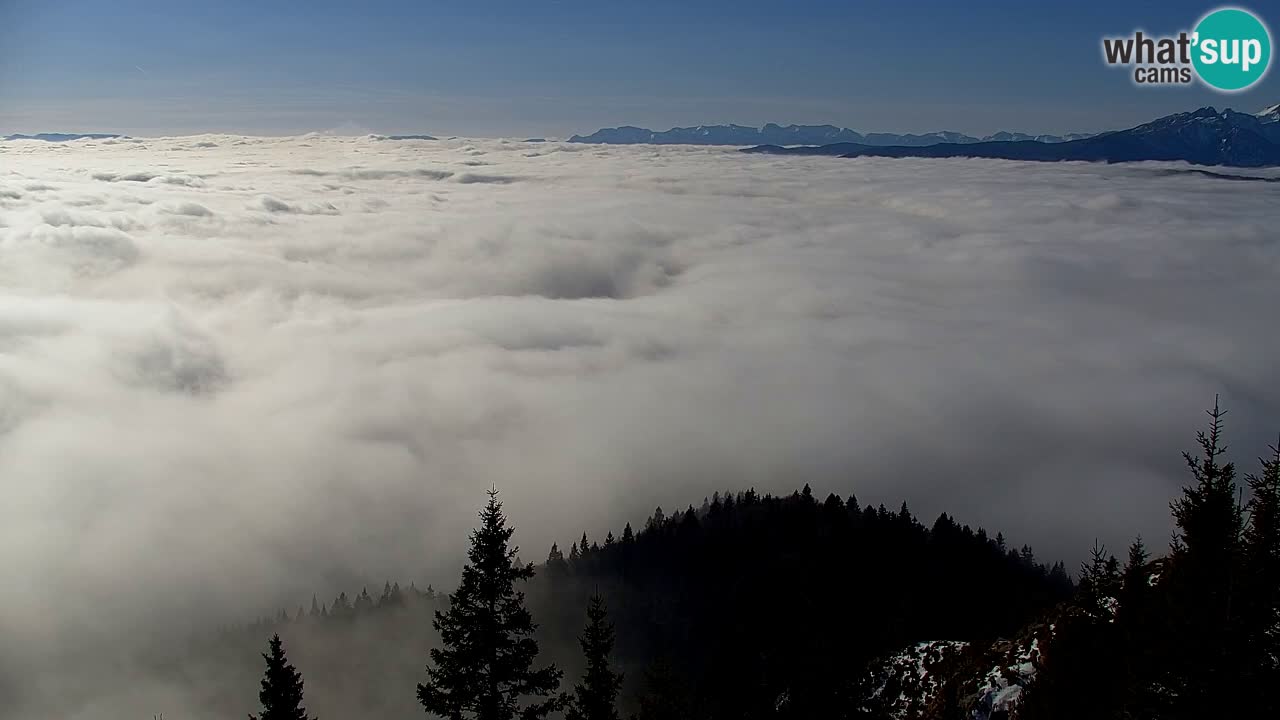 Webcam Koča na Golici (1582 m) – Slovenia