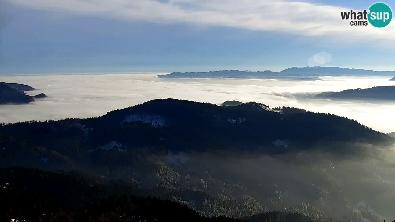Webcam Koča na Golici (1582 m) – Slovenia
