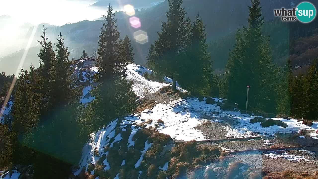 Webcam Koča na Golici (1582 m) – Slovenia
