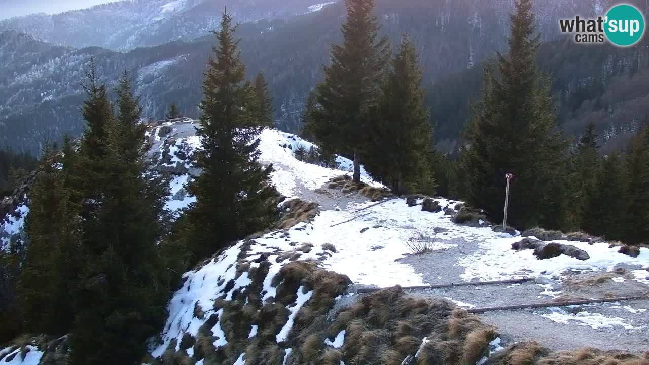 Spletna kamera Koča na Golici (1582 m) – Jesenice