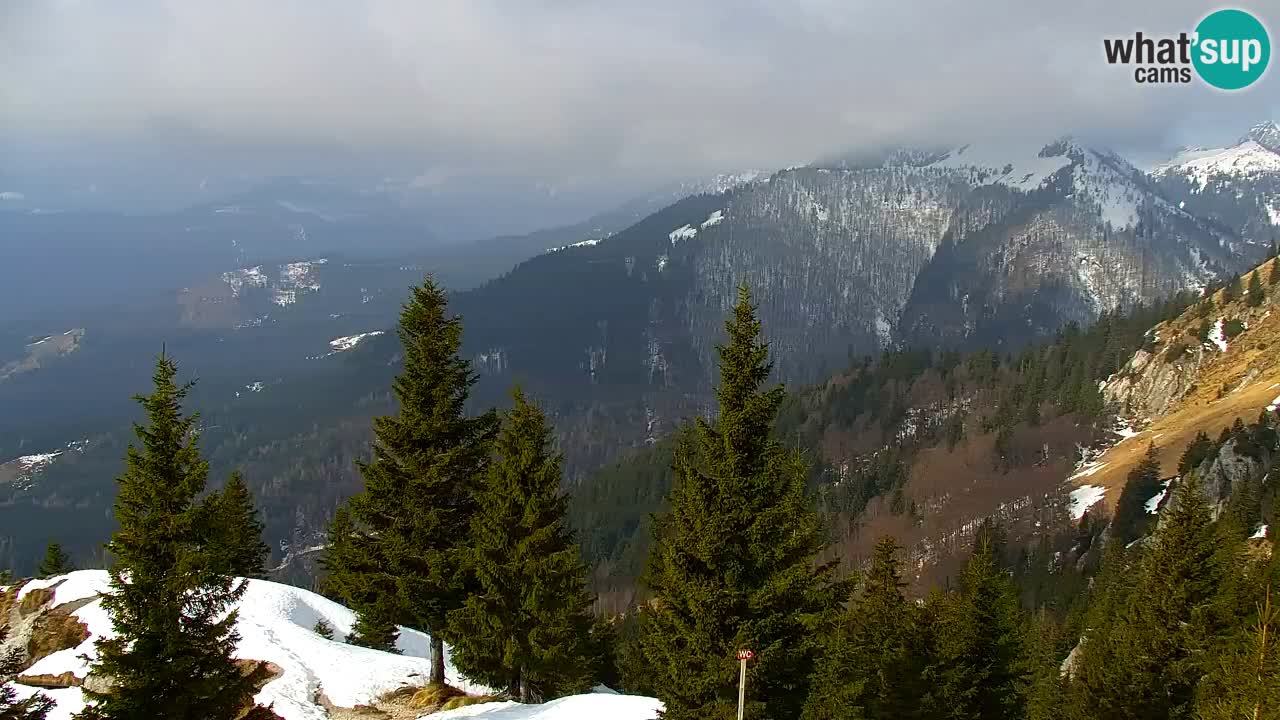 Webcam Koča na Golici (1582 m) – Slovenia