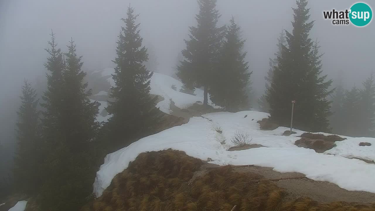 Webcam en Golica (1582 m) – Eslovenia