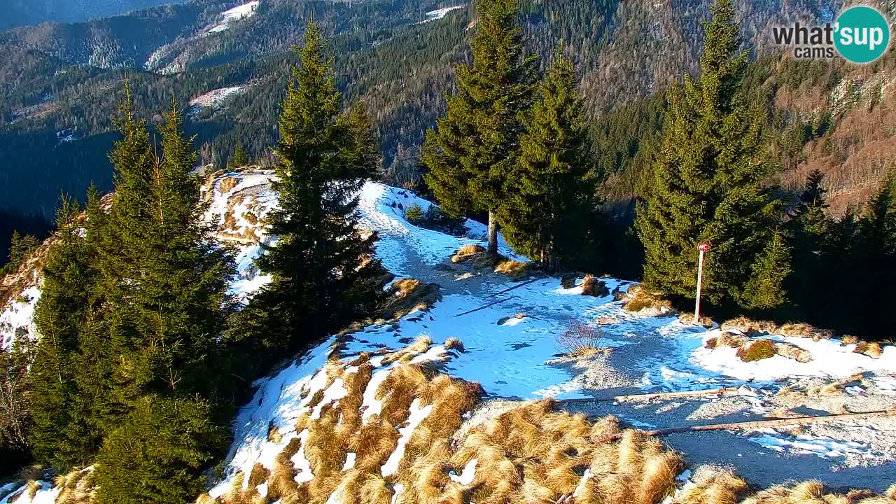 Koča na Golici Webcam (1582 m) – Slowenien