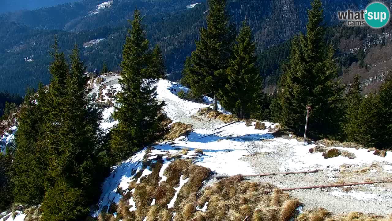 Webcam Koča na Golici (1582 m) – Slovenia