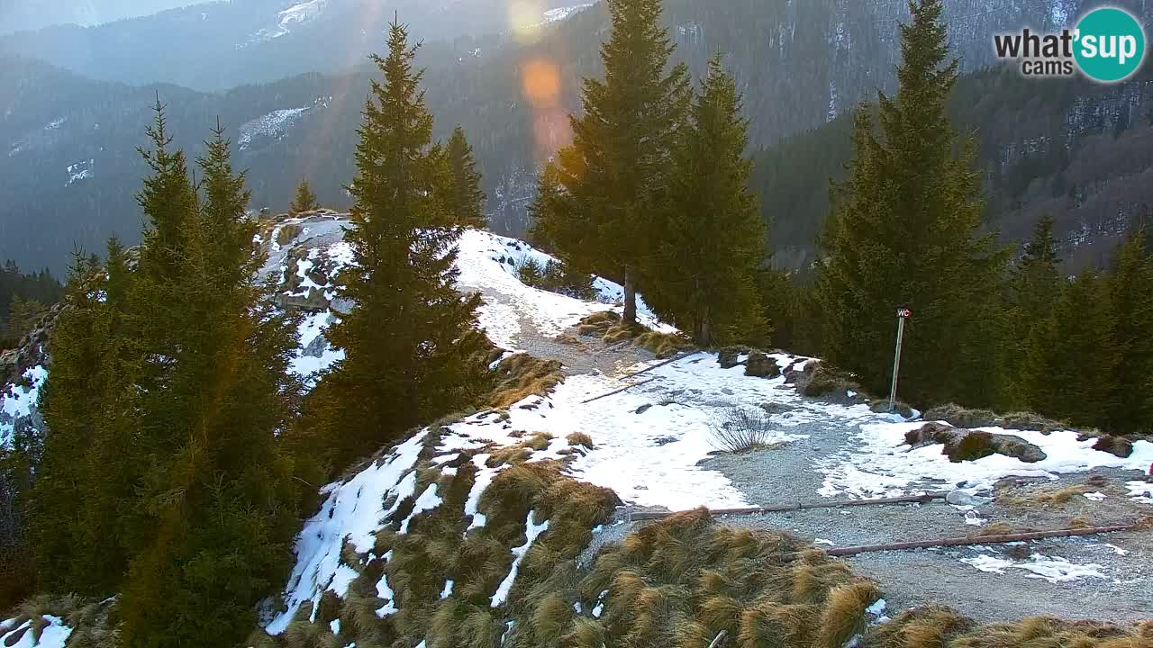 Webcam Koča na Golici (1582 m) – Slovenia