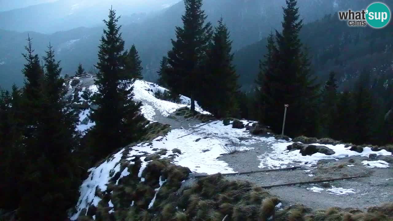 Spletna kamera Koča na Golici (1582 m) – Jesenice