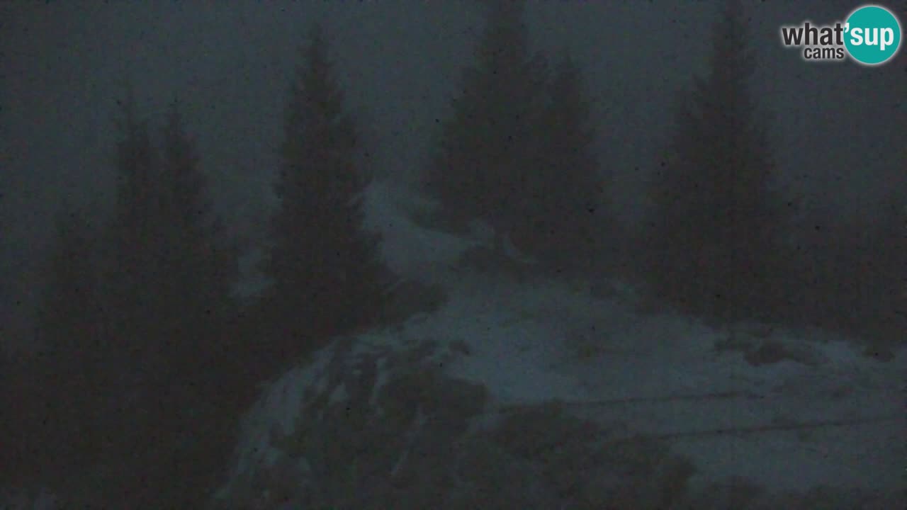 Koča na Golici Webcam (1582 m) – Slowenien